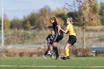 Bild 172 - F FSC Kaltenkirchen - SV Frisia 03 Risum-Lindholm : Ergebnis: 0:7